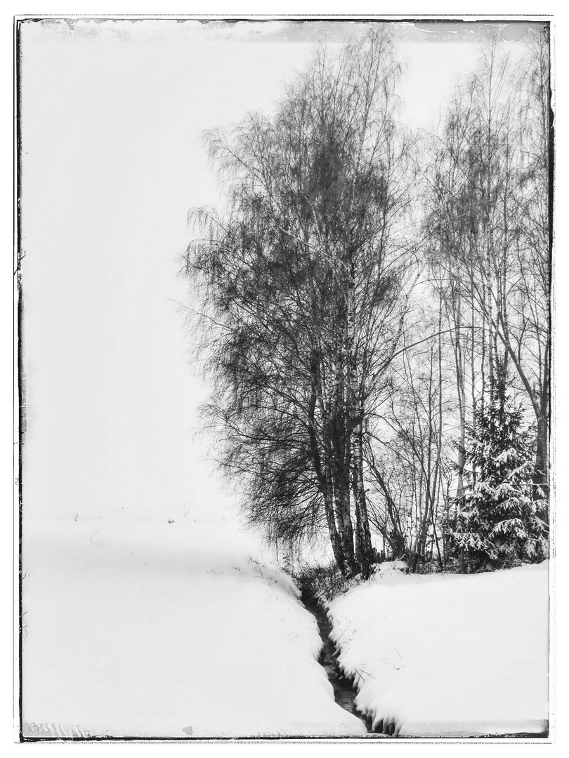 Bächlein im Schnee