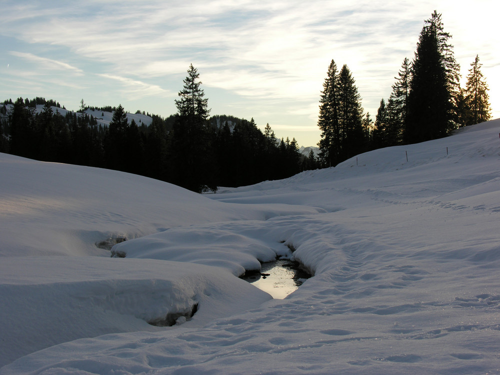 Bächlein im Schnee