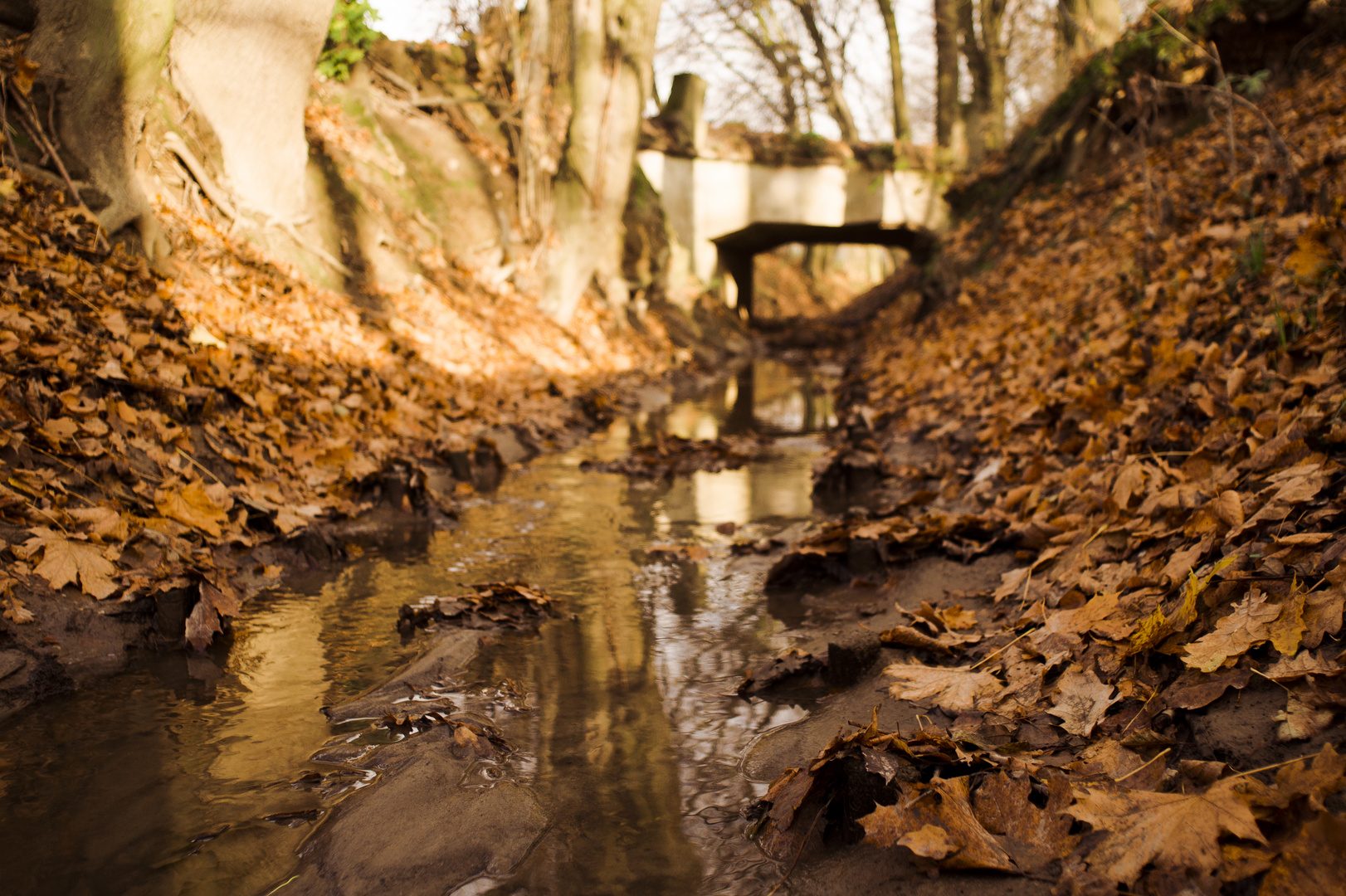 Bächlein in Herbst