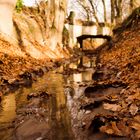 Bächlein in Herbst