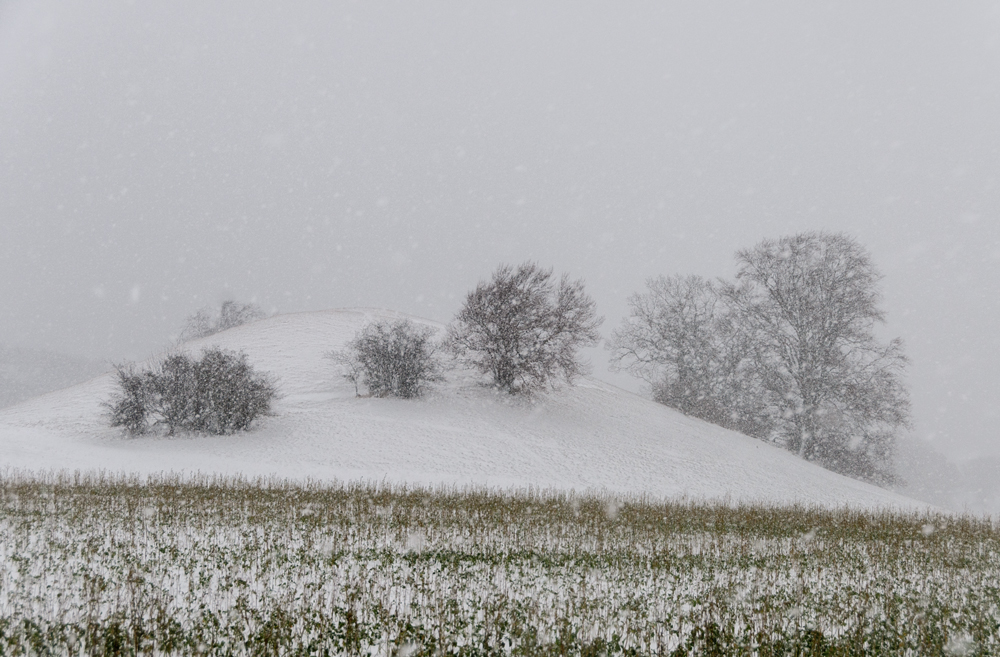 Bäckerbichl im Schneesturm