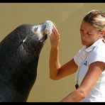 Bäh, du riechst nach Fisch...