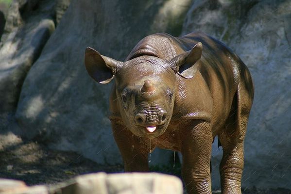 Bäh - ich hab die Abkühlung verdient