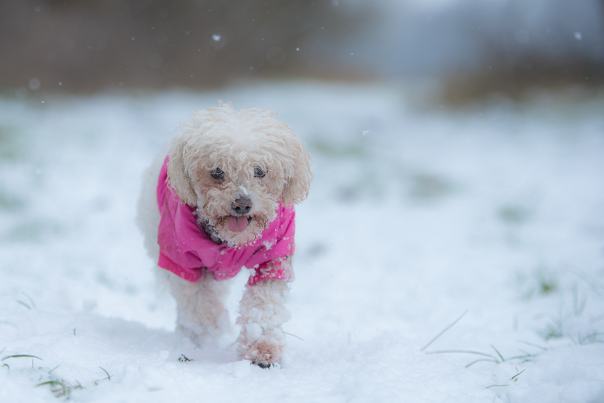 Bäh, Schnee....