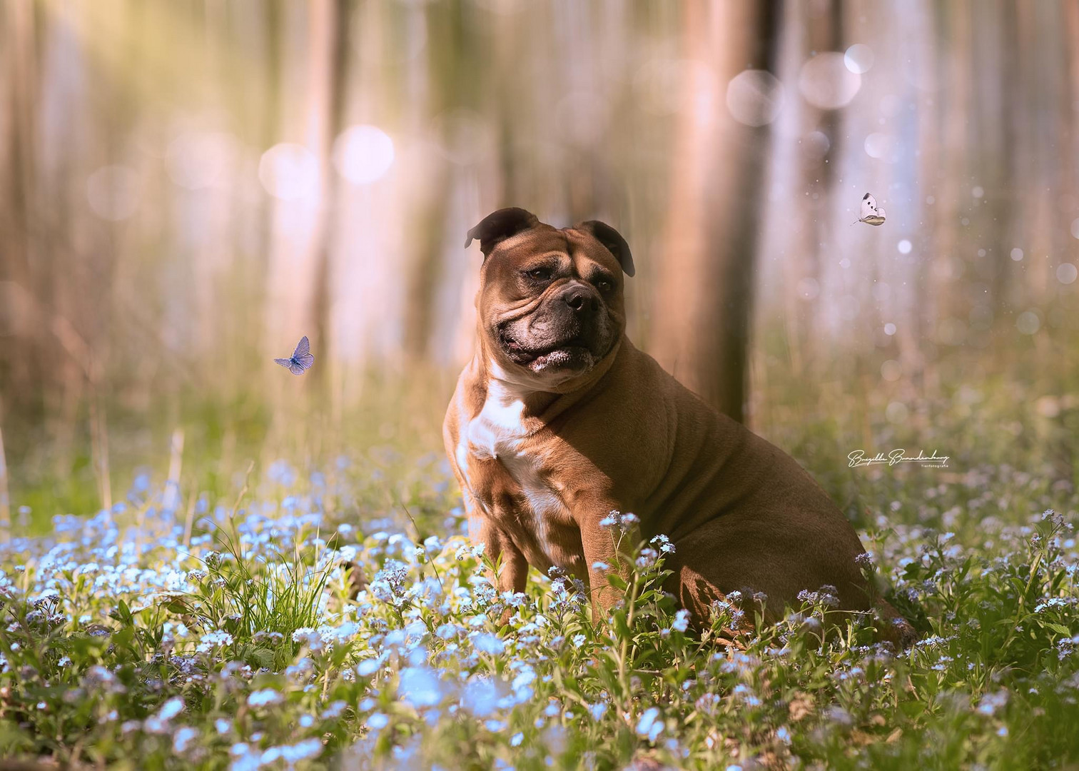 BÄM !!! Frühling!!!