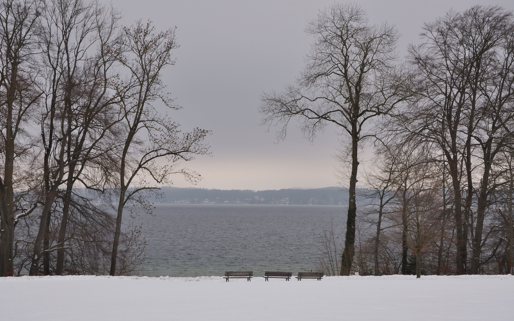 Bänke am See