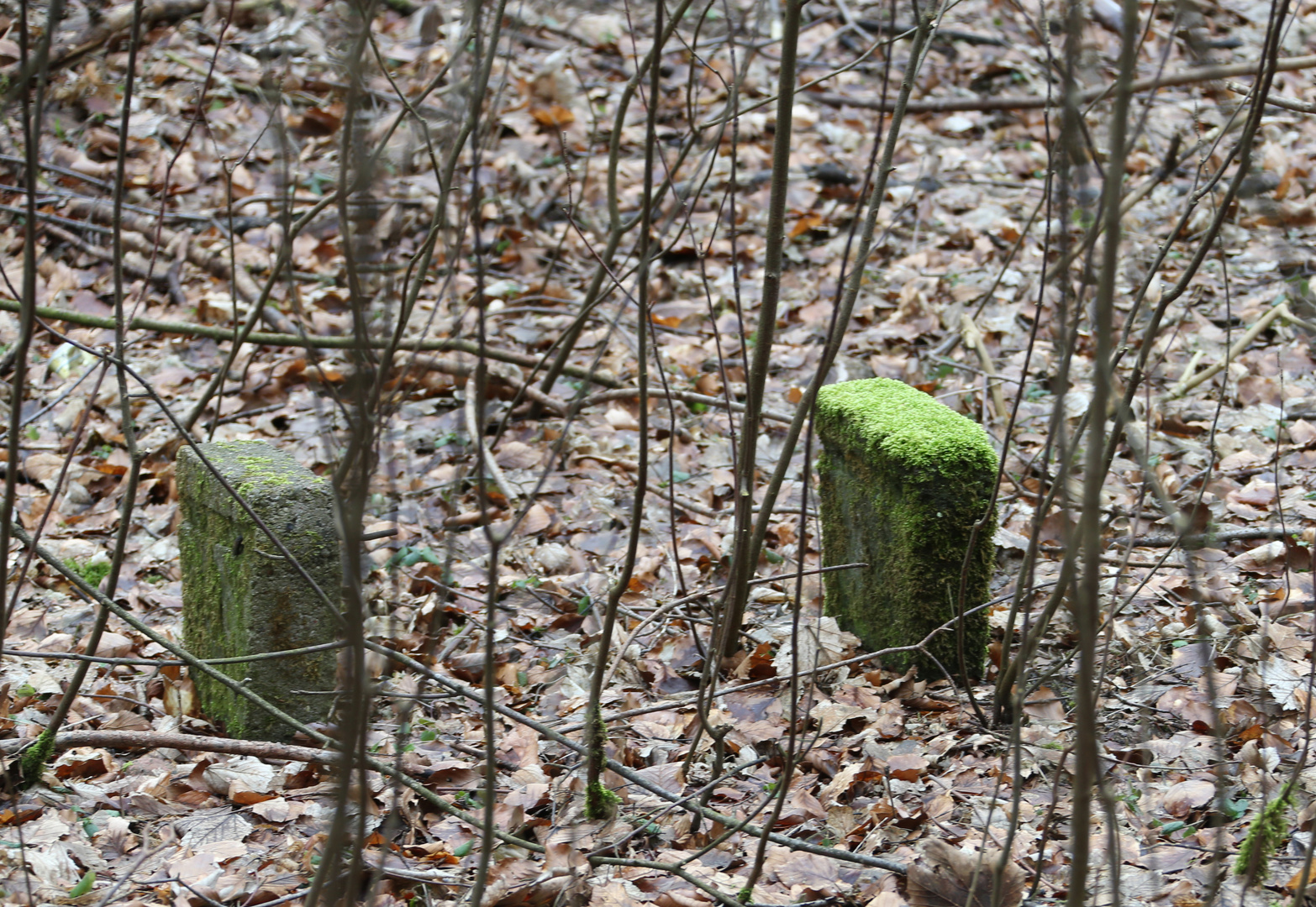 Bänke -  Bank - Sitzbänke, 