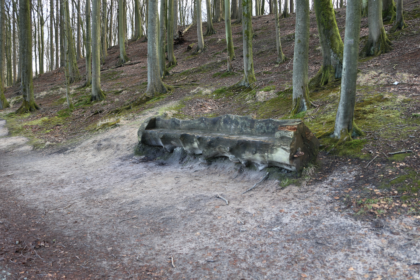 Bänke -  Bank - Sitzbänke, 