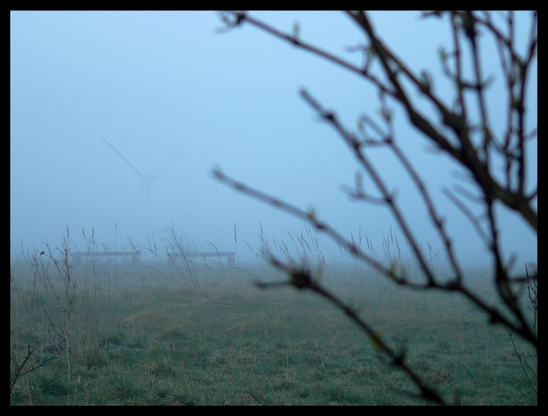 Bänke im Nebel