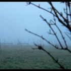 Bänke im Nebel