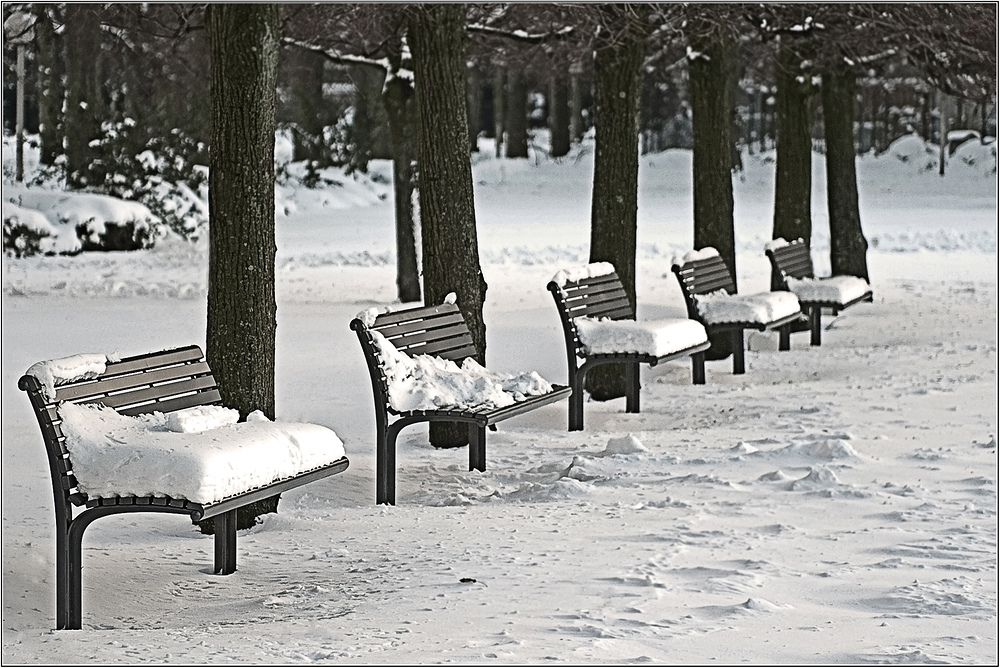 Bänke im Osnabrücker Schlosspark