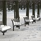 Bänke im Osnabrücker Schlosspark