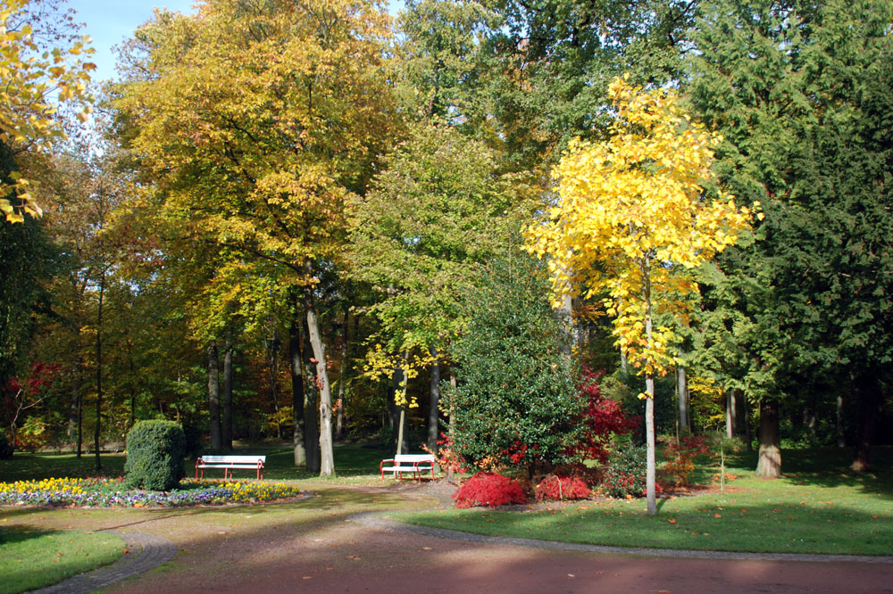 Bänke im Park 1