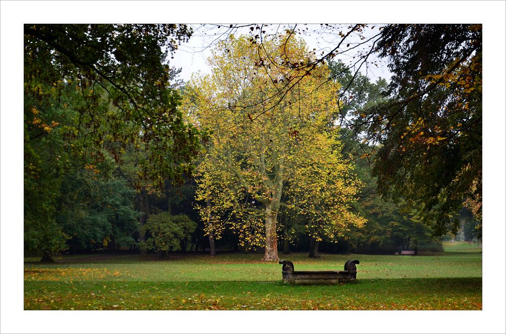 Bänke im Park