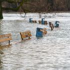 Bänke im Rhein ...