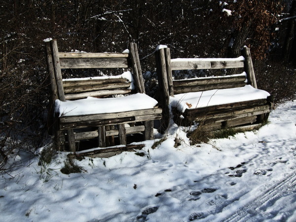 Bänke im Schnee