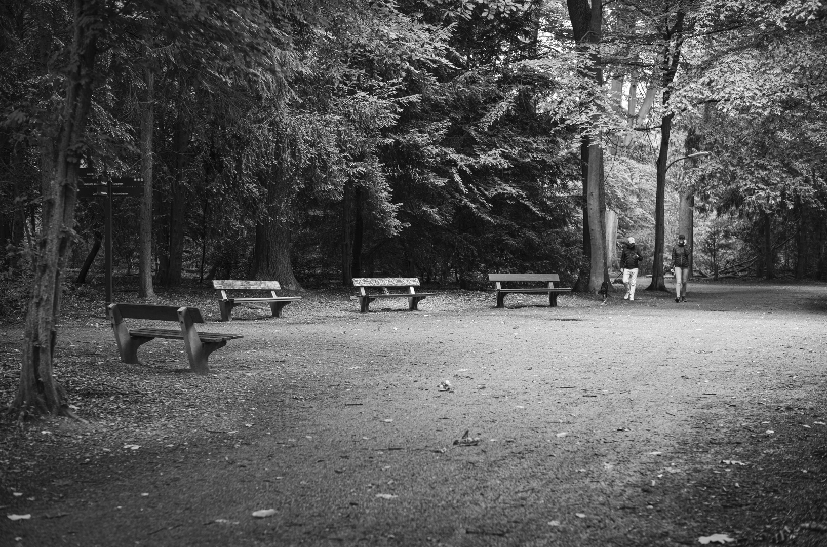 Bänke im Stadtpark