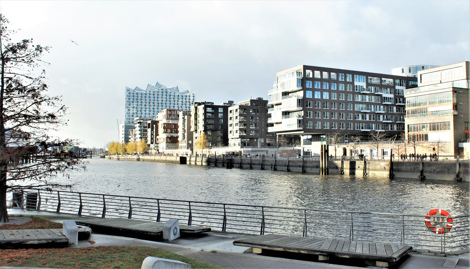 Bänke mit Blick über den Grasbrookhafen zur Dalmannkaipromenade und Elbphilharmonie.