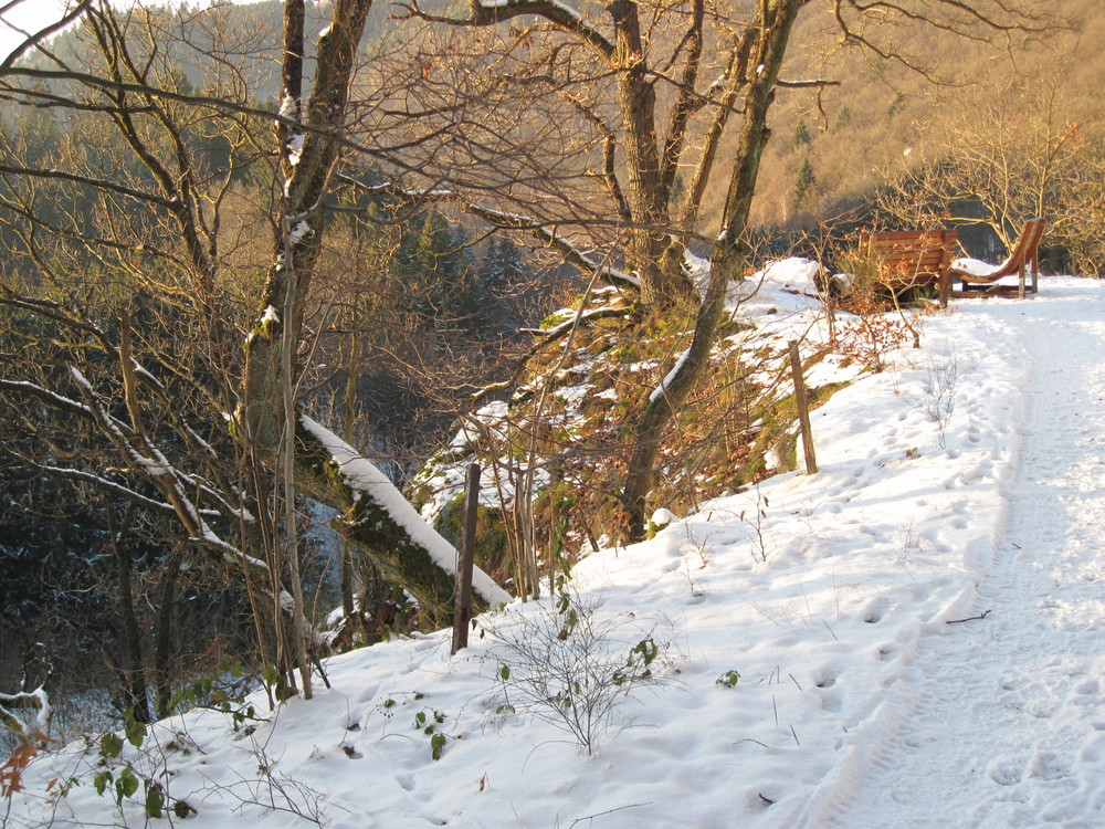 Bänke mit Eifelblick