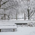 Bänke mit Schnee