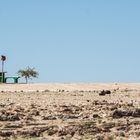 Bänke, Tisch, 2! Schattenbäume ... alles da in der Namib-Wüste