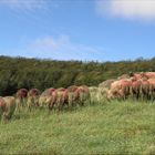 Bänkerjoch - Kt Aargau Schweiz - 3D Interlaced