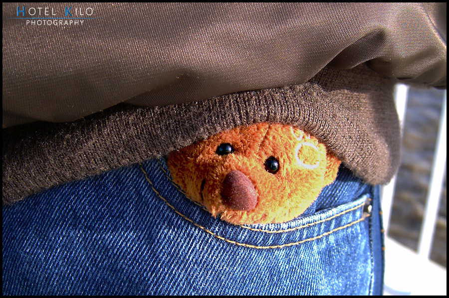 Bär on Tour 2 - Hiding in Pockets