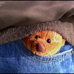 Bär on Tour 2 - Hiding in Pockets