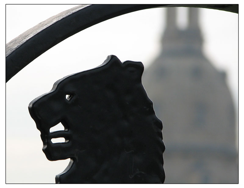 Bär vor der Frauenkirche