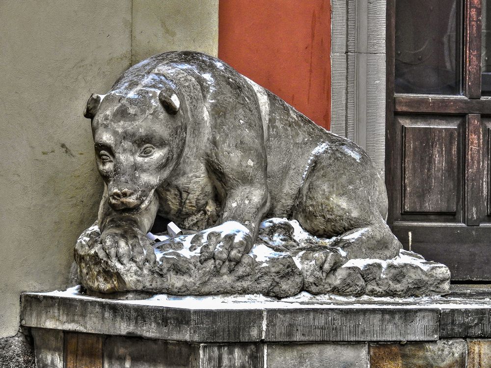 Bär vor der Jesuitenkirche