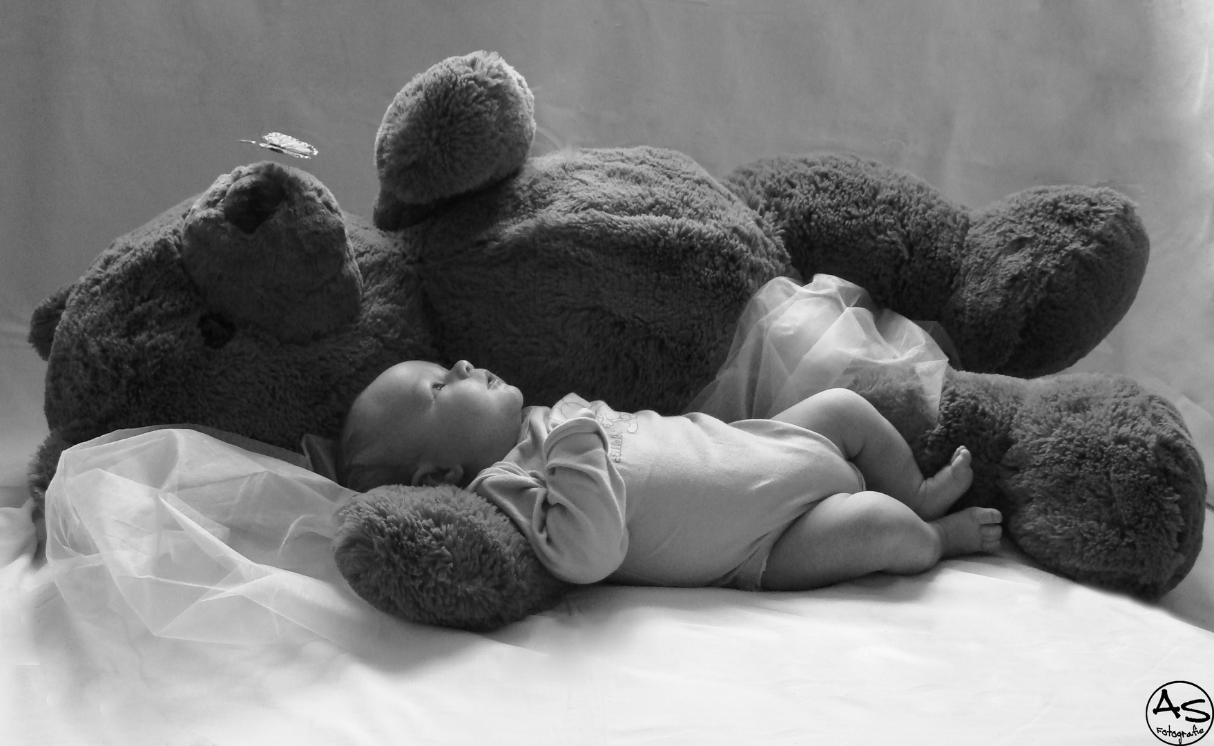 Bär, zeig mir die Welt! Foto & Bild archiv, a r c h i v aktuell, colorfoto kinder Bilder auf