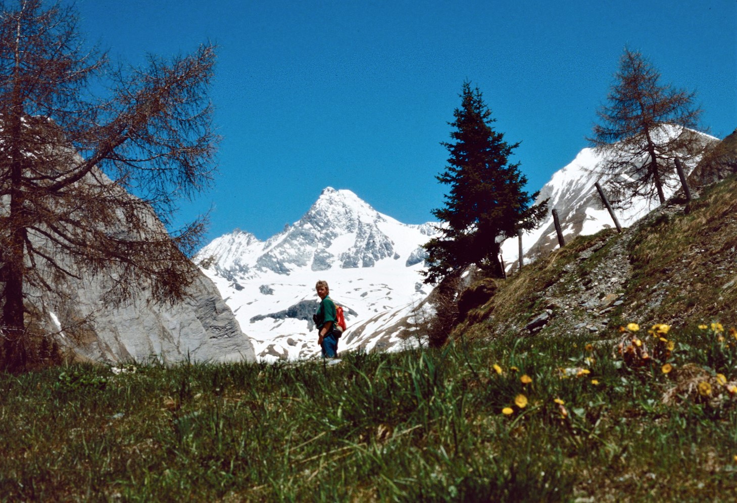 Bärbel mit Großglockner 