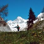 Bärbel mit Großglockner 