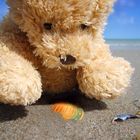 Bärchen findet einen Schatz am Strand