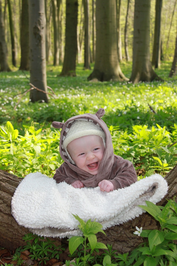 Bärchen im Gespensterwald