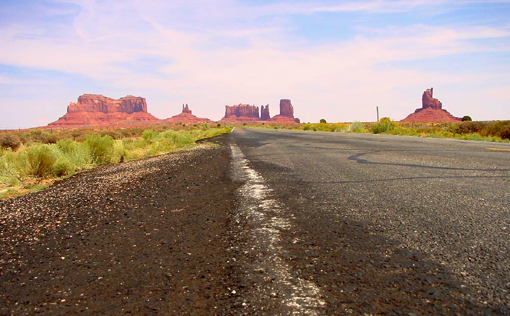 Bären am Monument Valley