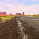 Bären am Monument Valley