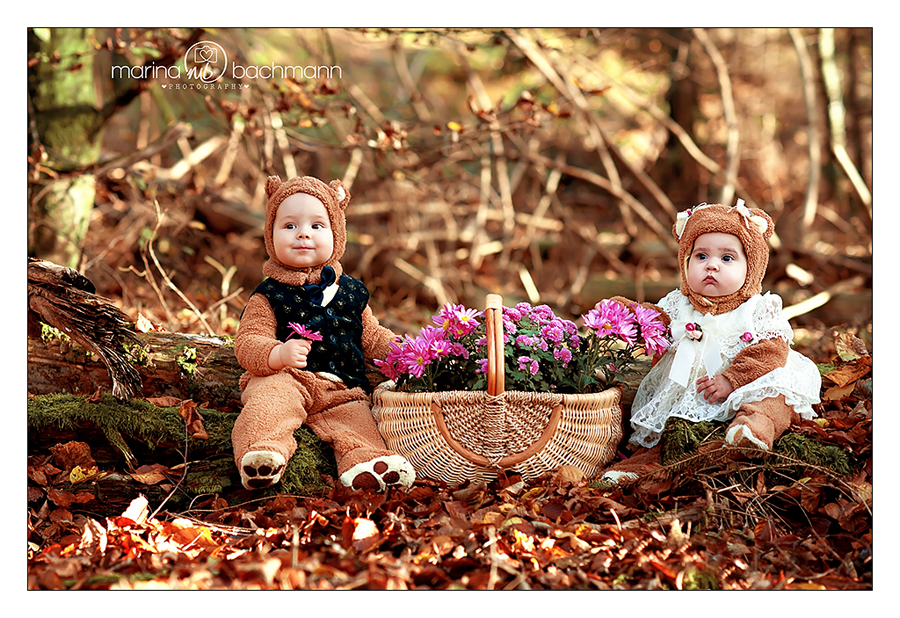 Bären im Wald)))