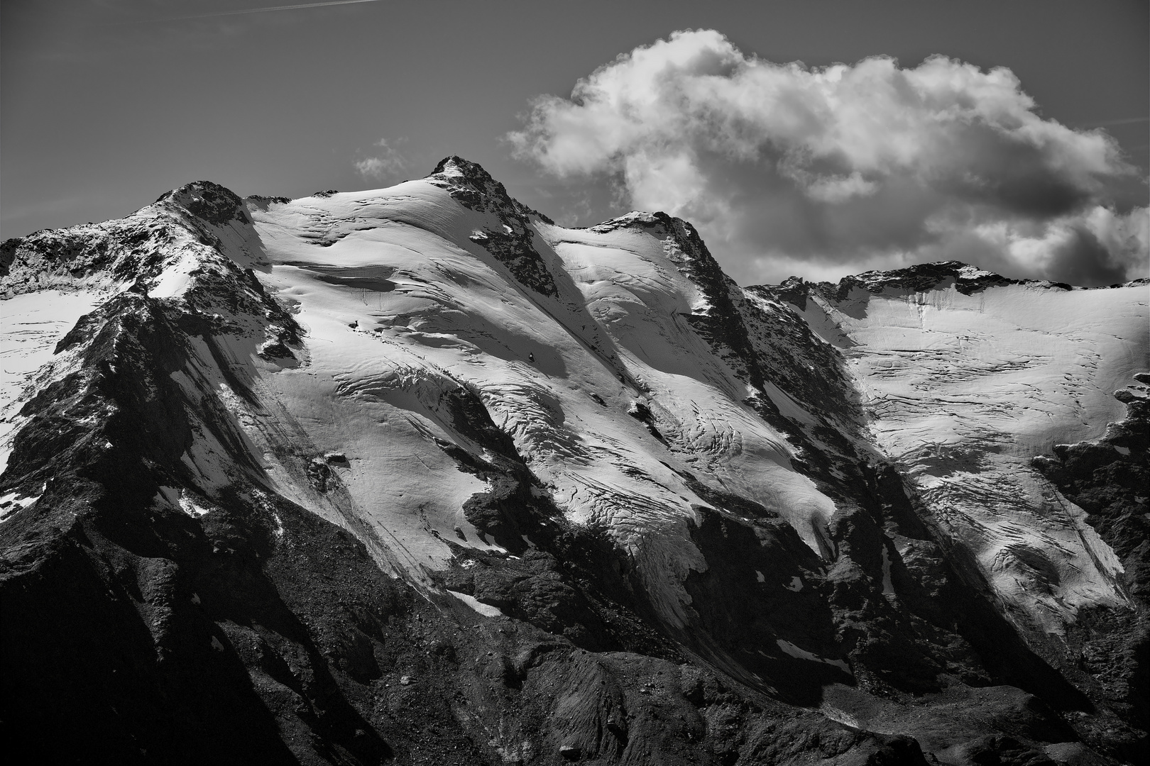 Bärenbartkogel