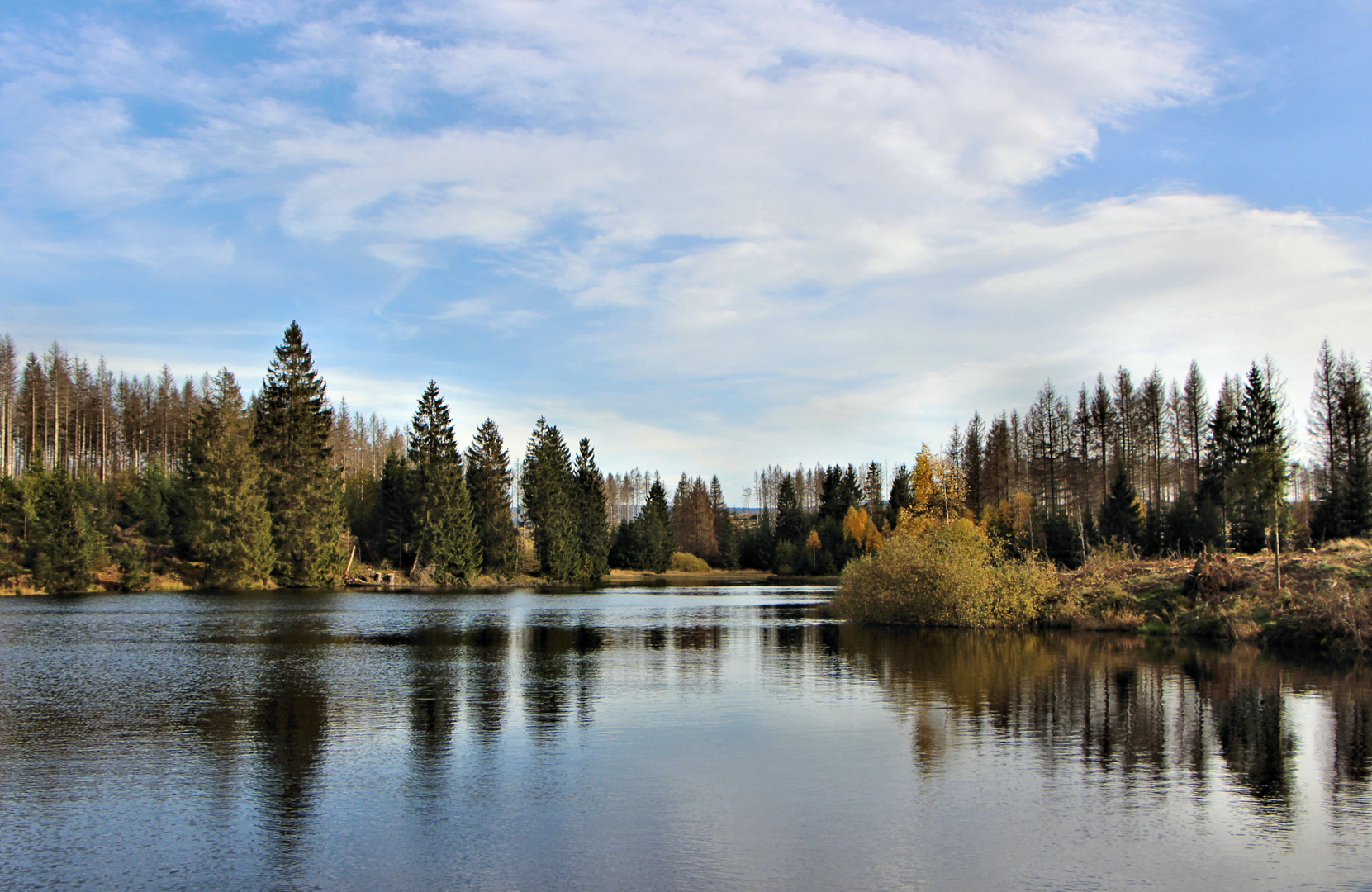 Bärenbrucher Teich