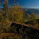 - Bärenburg im Renchtal -