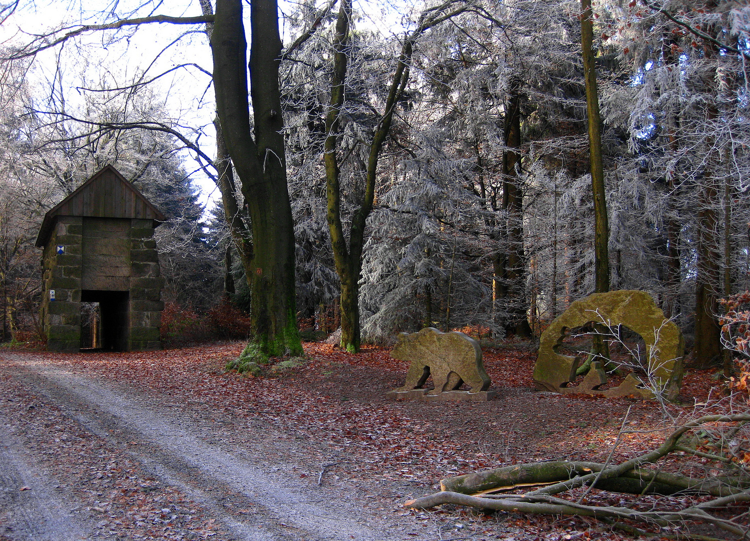 Bärenfang am Waldstein