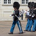 Bärenfellmützen der Dänisch Königlichen Leibgarde