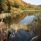 Bärenfichtenweiher in Reifenberg