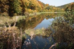 Bärenfichtenweiher in Reifenberg