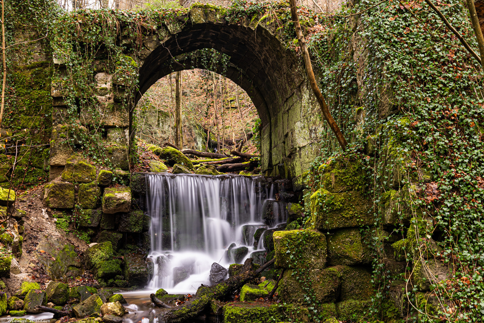 Bärengarten Burg Hohenstein Sächsische Schweiz Foto & Bild