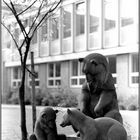 Bärengruppe vor dem Johann-Gottfried-Herder-Gymnasium