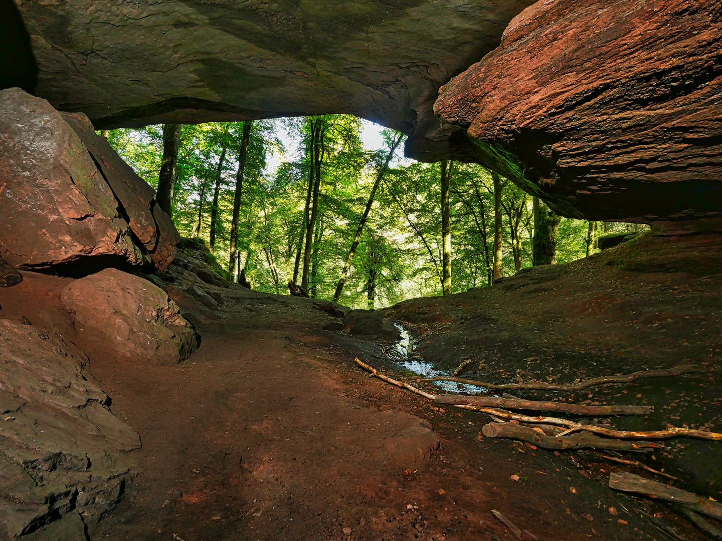 Bärenhöhle 3