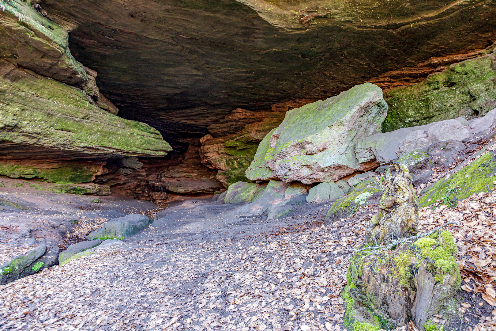 Bärenhöhle