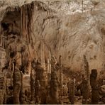 BÄRENHÖHLE CHISCAU-RUMÄNIEN.